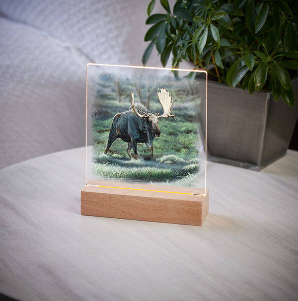 Midnight Forage - Acrylic Night Light
