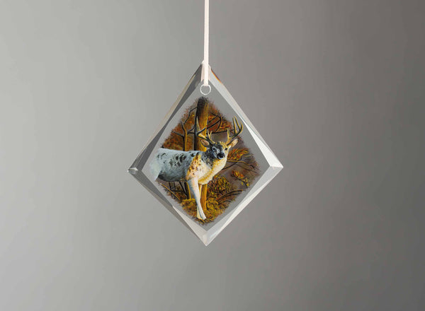 Last Light - Tear Drop Glass Ornament