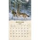 Beyond the Woods - 2026 Wall Calendar