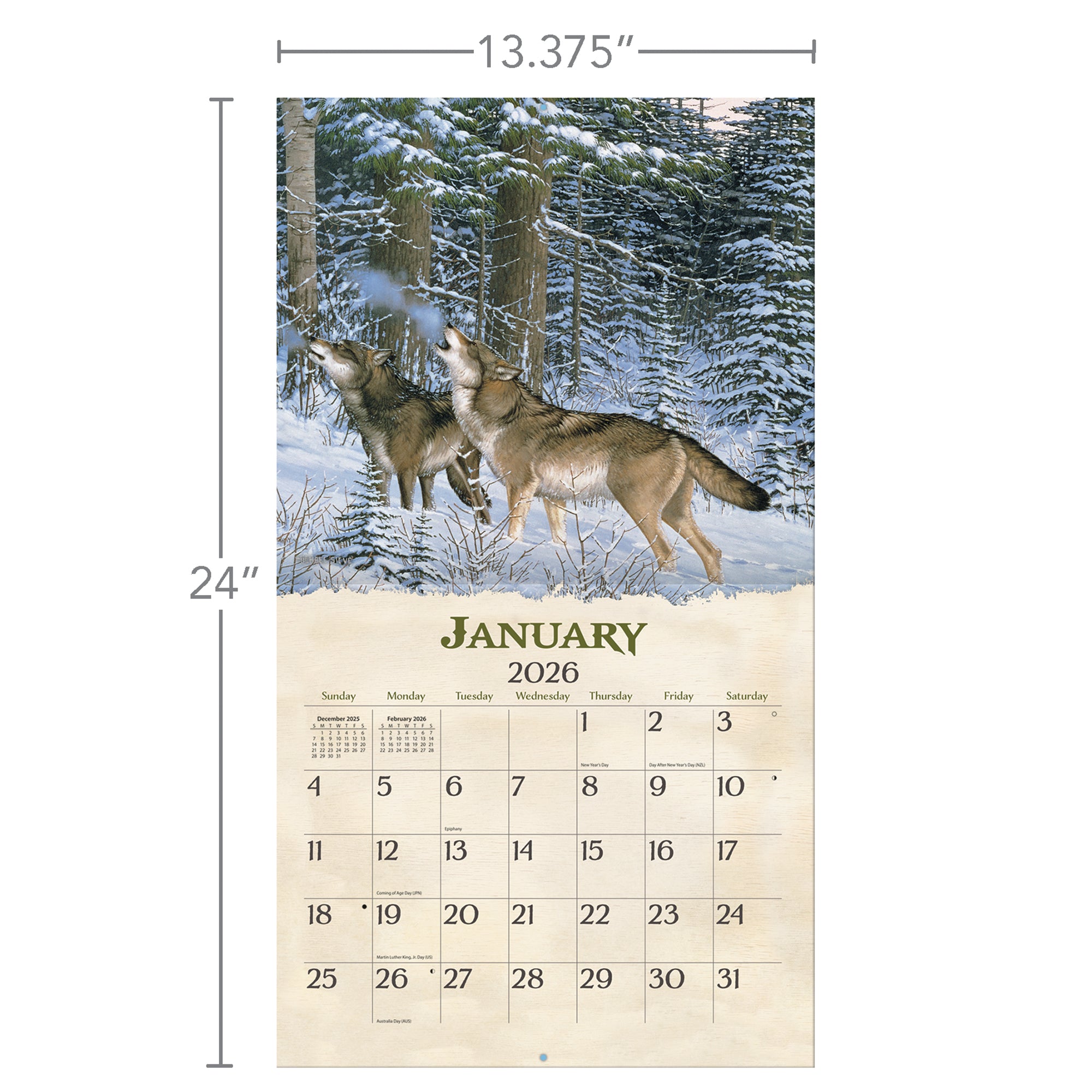 FANTASTICS 八木勇征 クリアカード 2022 CALENDAR Ver Beyond the Woods - 2026 Wall Calendar Wall Calendar from Wild Wings