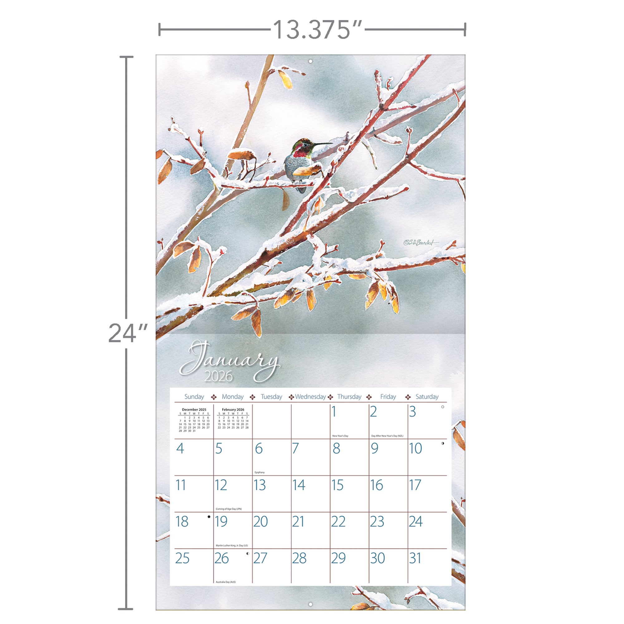 Hummingbirds - 2026 Wall Calendar Wall Calendar from Wild Wings
