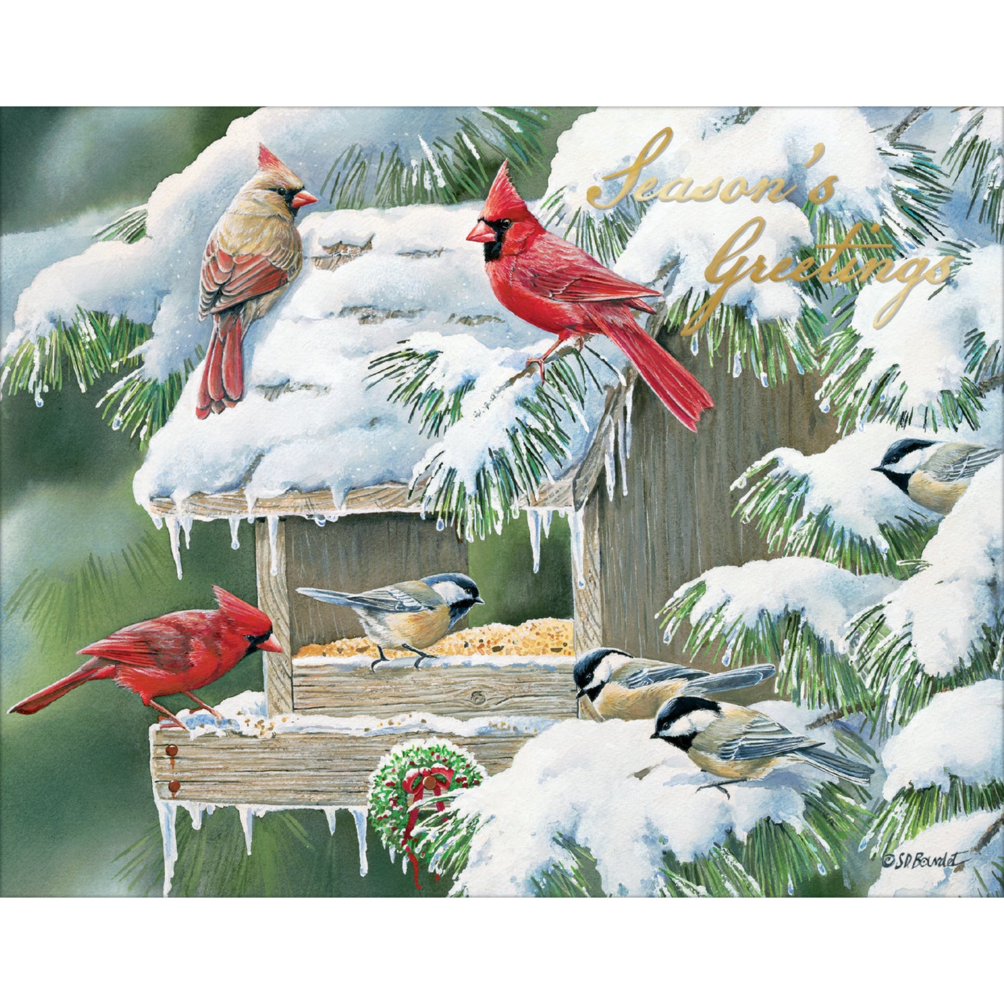 Cardinal Christmas - Boxed Christmas Cards