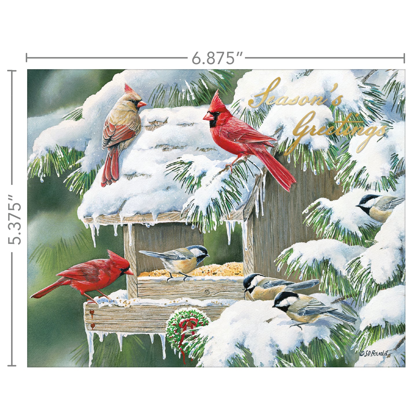 Cardinal Christmas - Boxed Christmas Cards