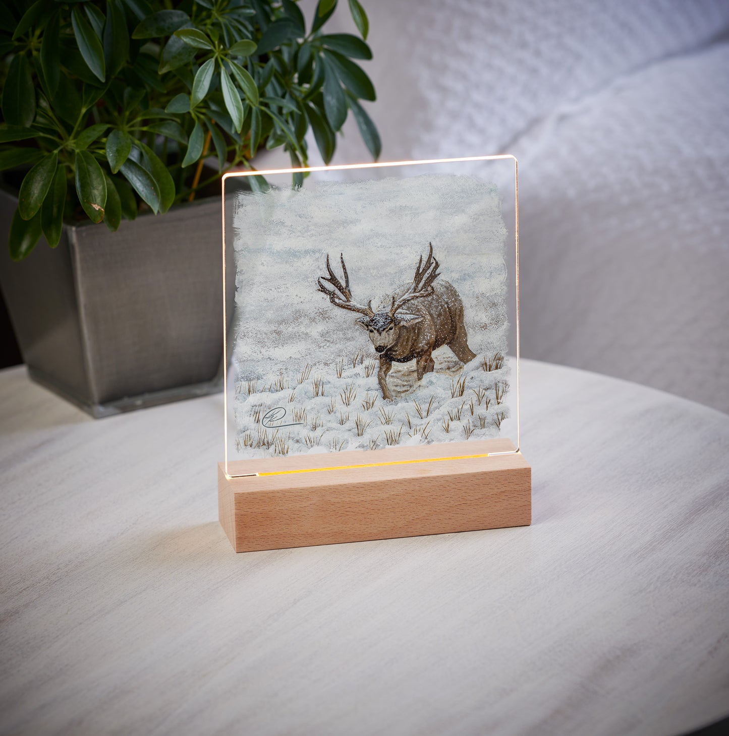 Snow Muley - Acrylic Night Light