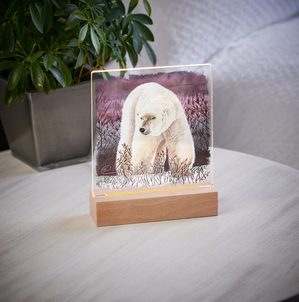 Purple Polar - Acrylic Night Light