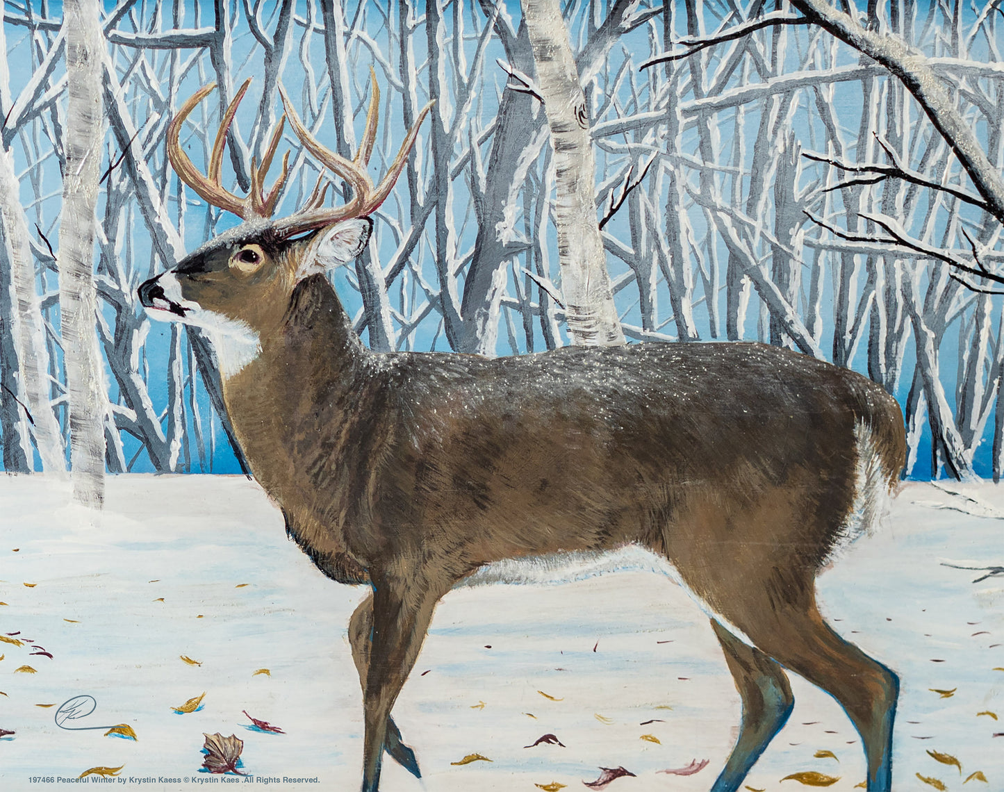 Peaceful Winter - Art Prints