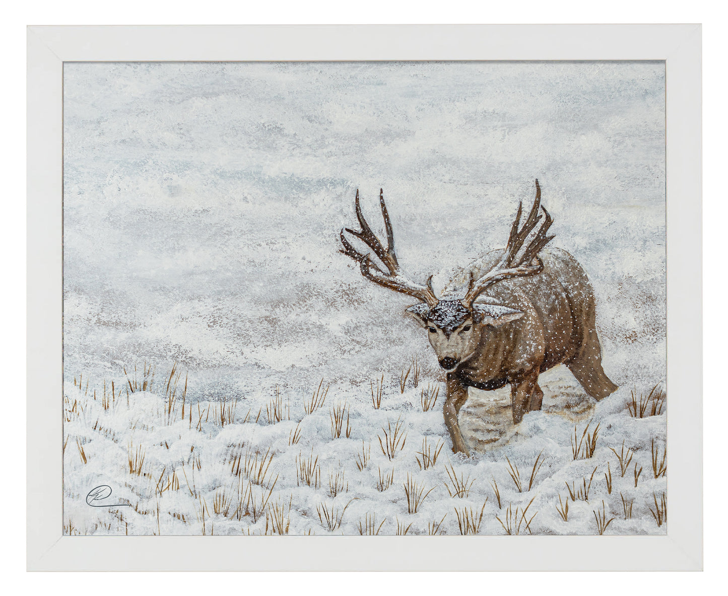 Snow Muley - Art Prints
