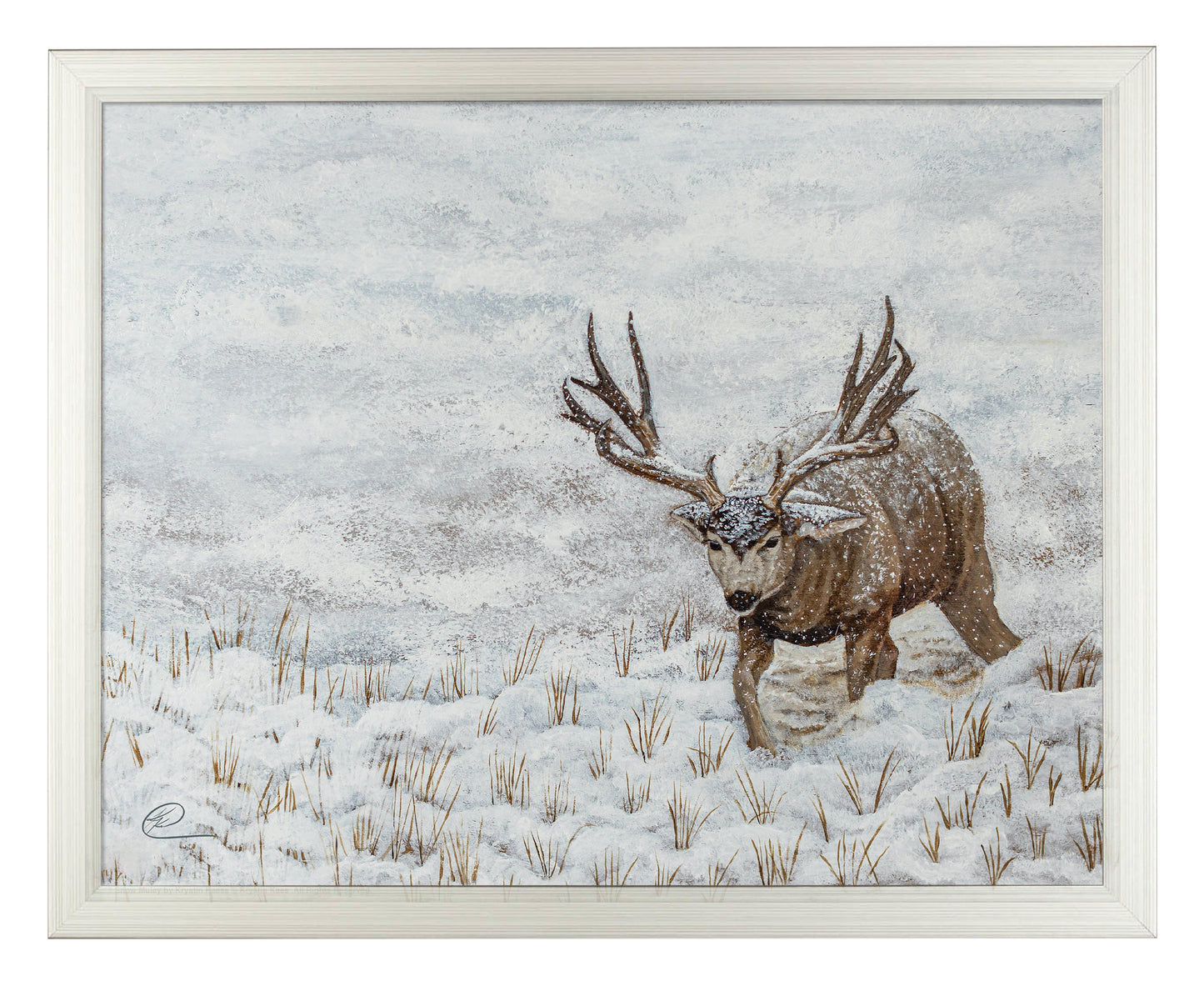Snow Muley - Art Prints