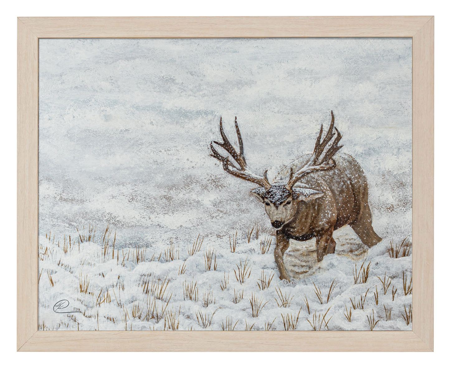 Snow Muley - Art Prints