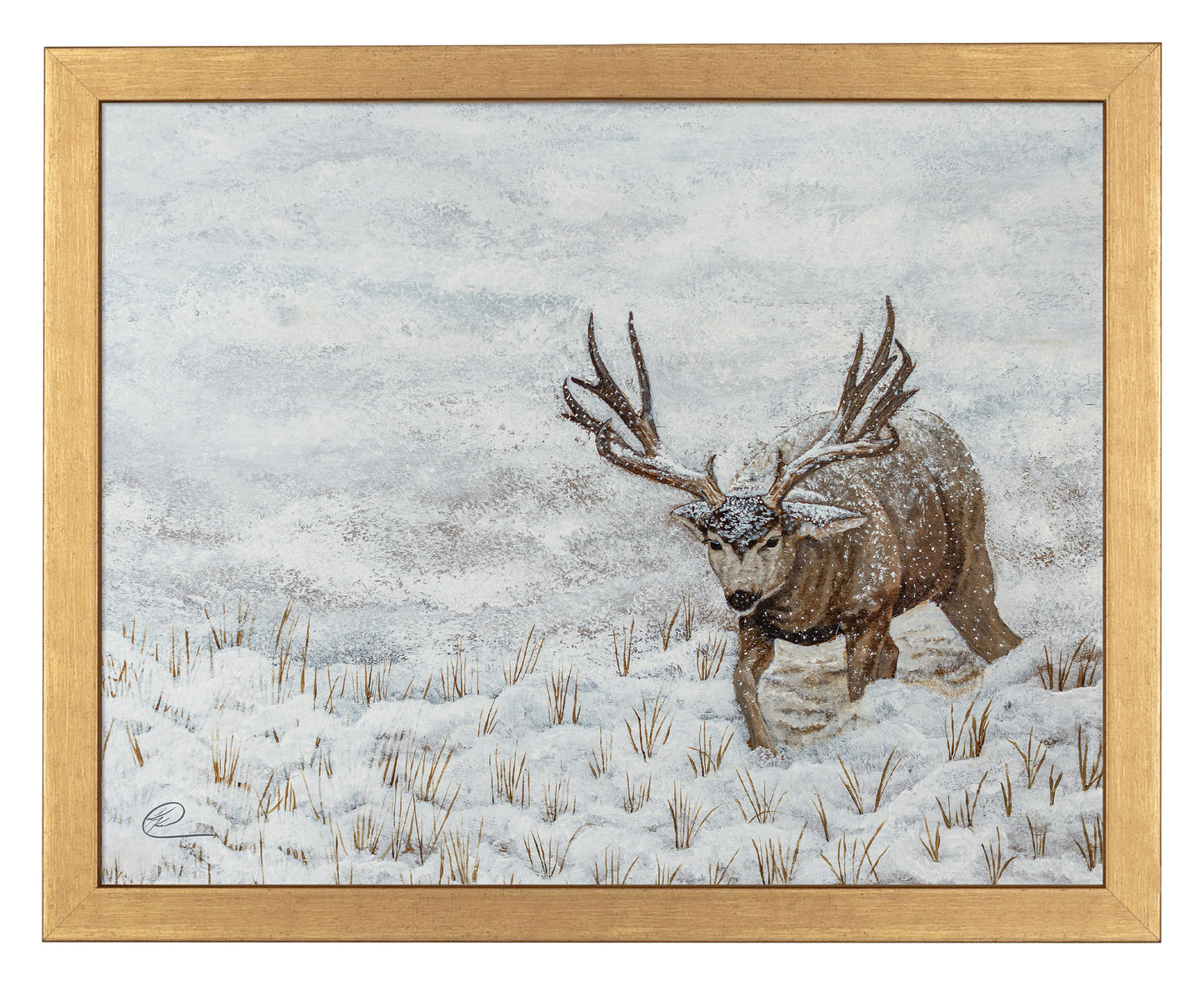 Snow Muley - Art Prints