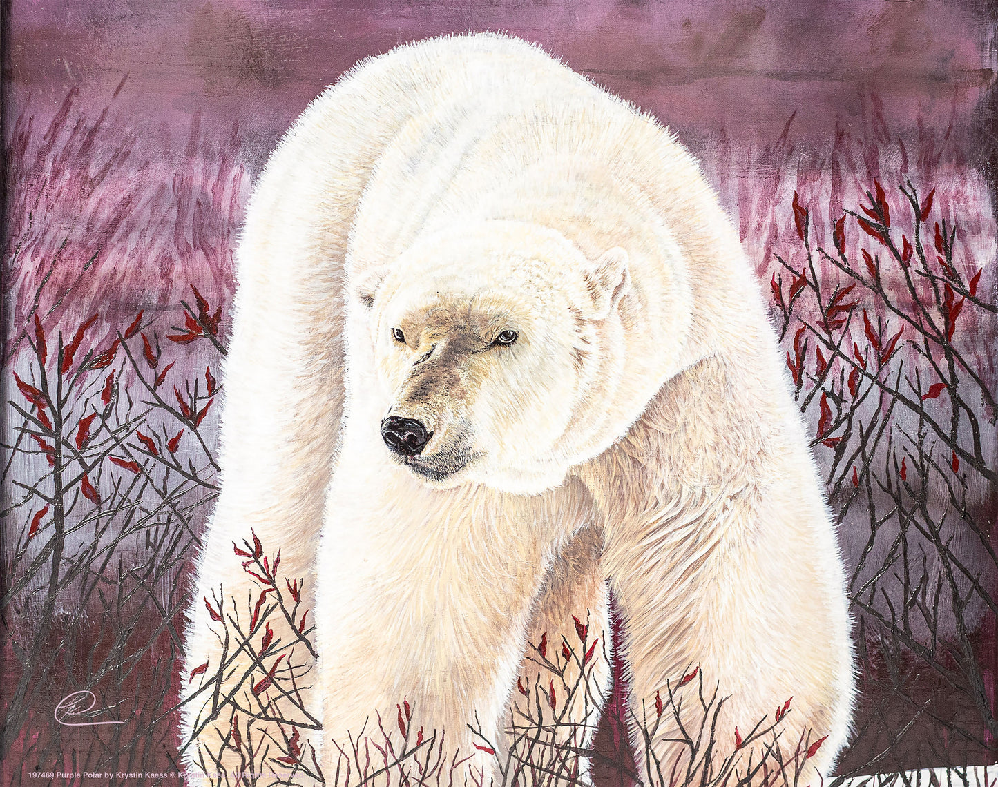 Purple Polar - Art Prints