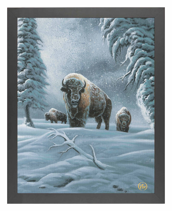 Bison in the Snow - Art Prints