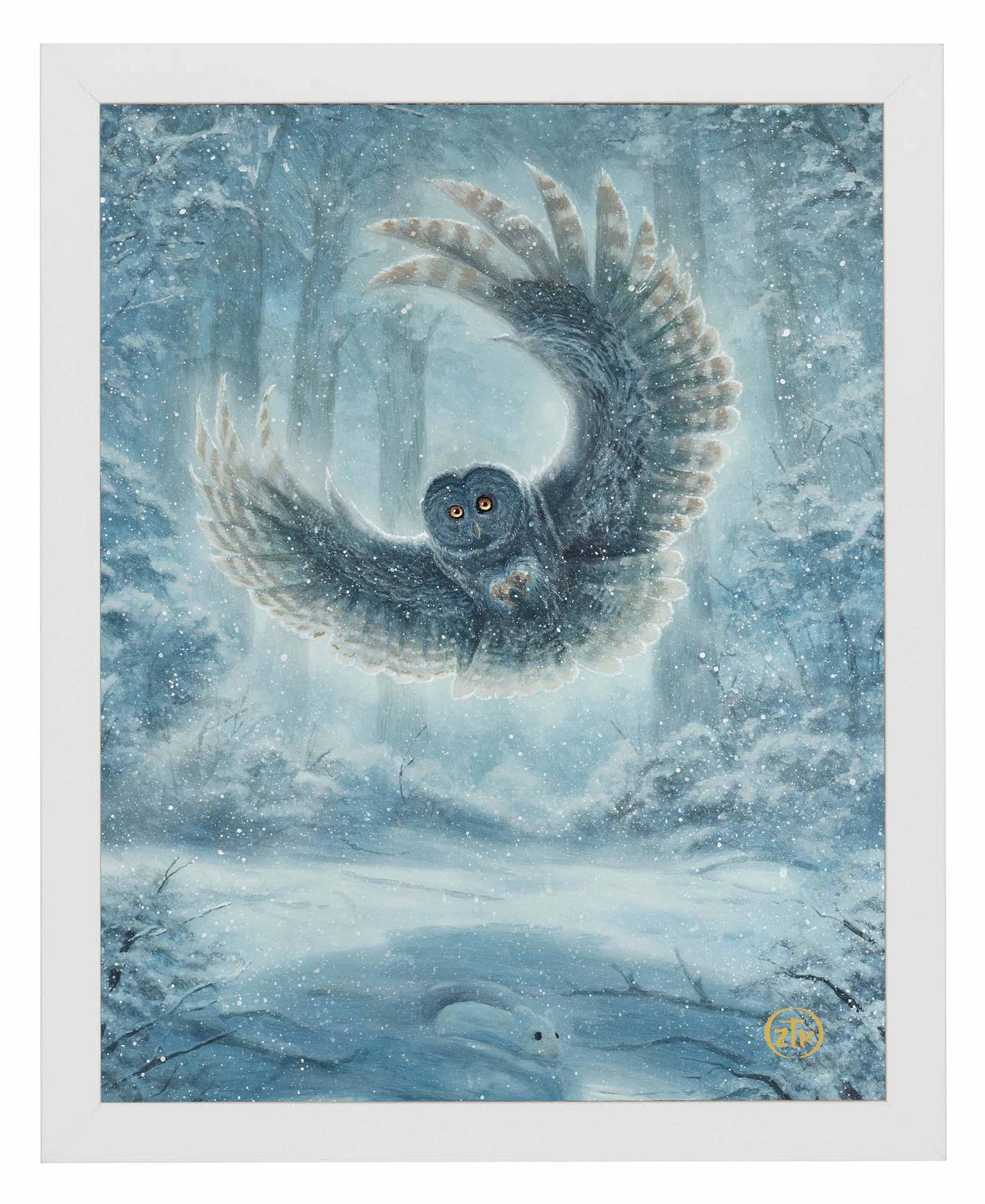 Snowy Owl - Art Prints