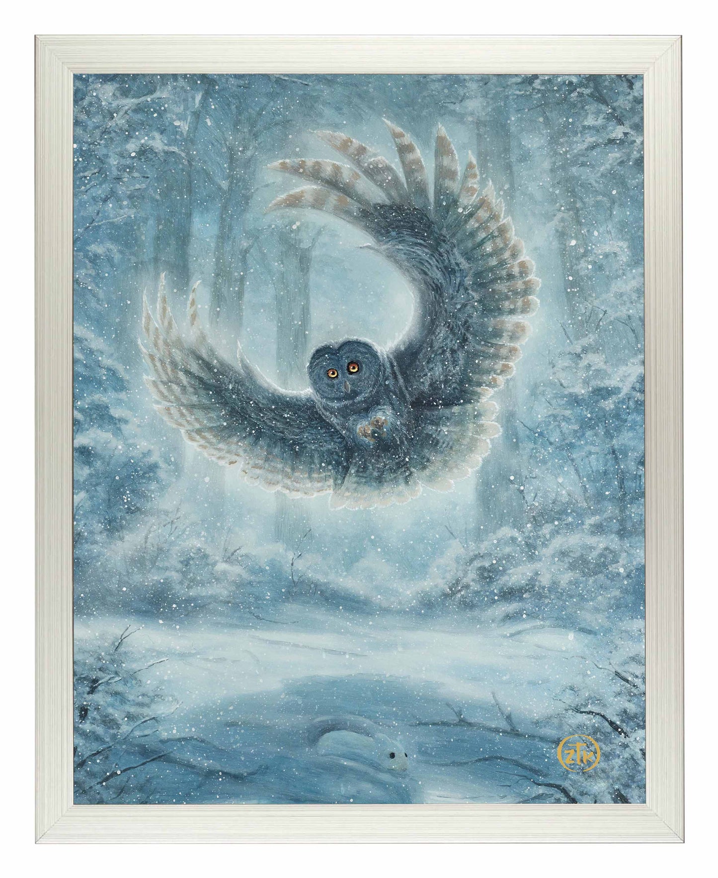 Snowy Owl - Art Prints