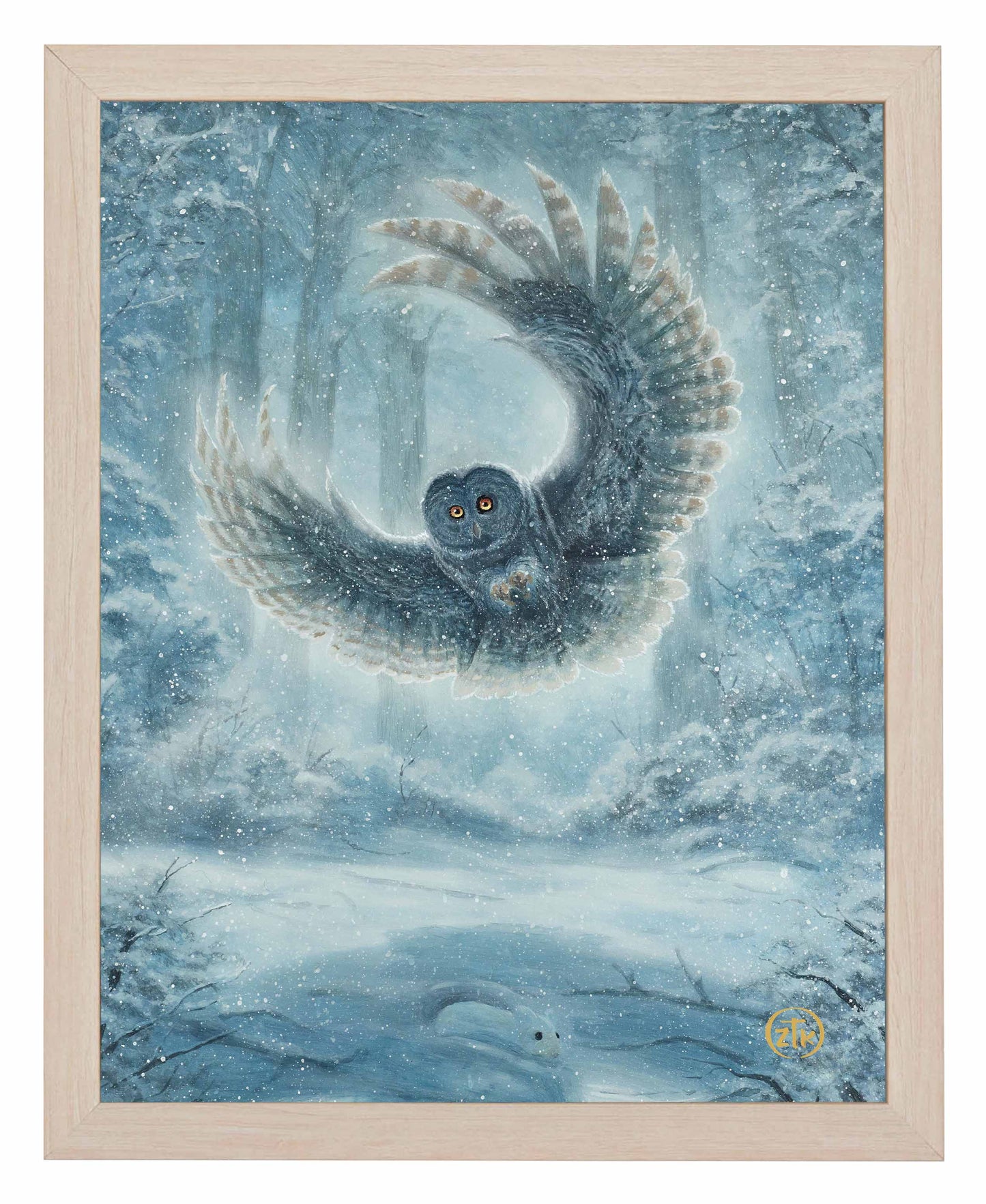 Snowy Owl - Art Prints