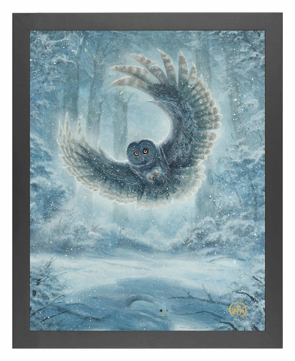 Snowy Owl - Art Prints