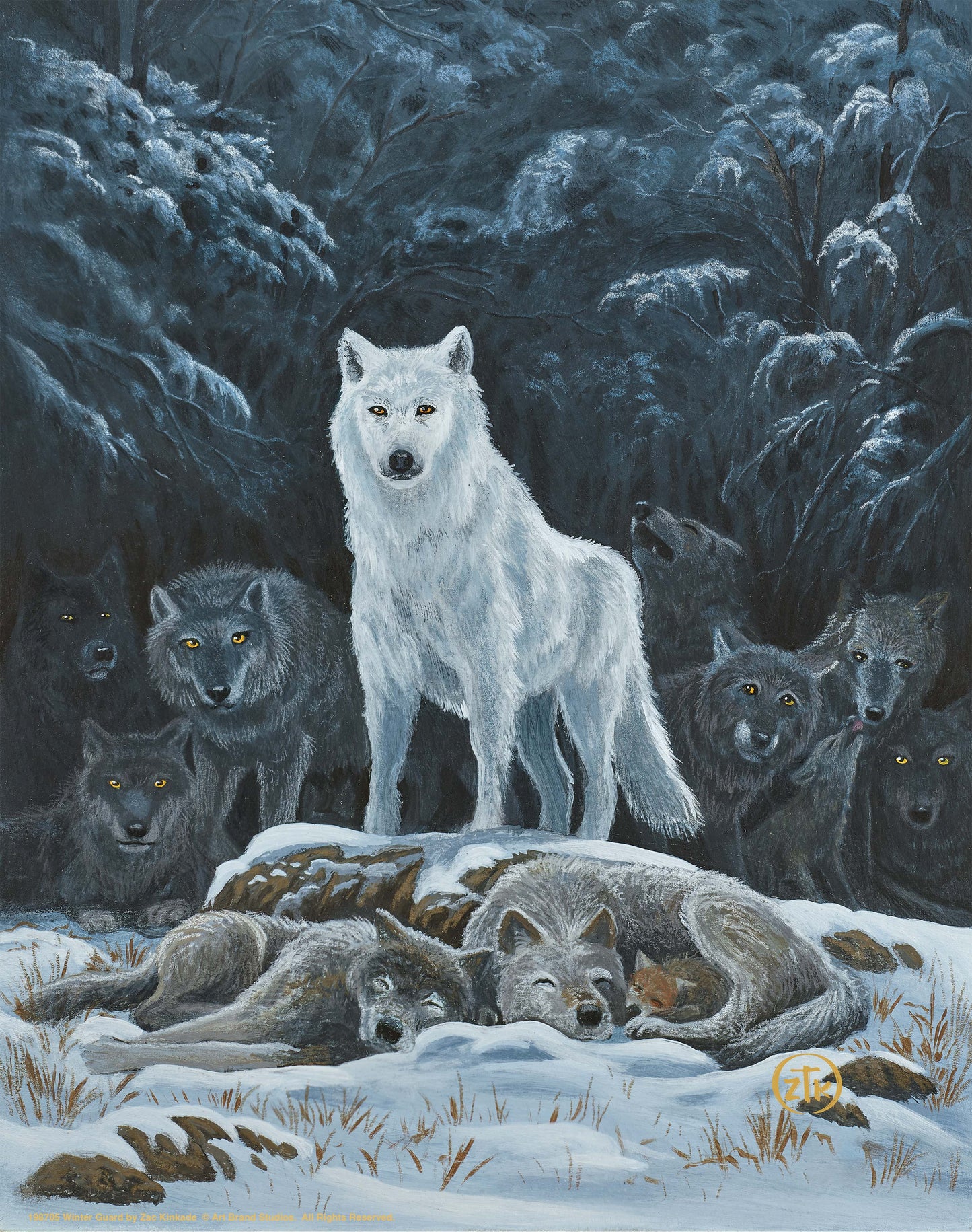 Winter Guard - Art Prints