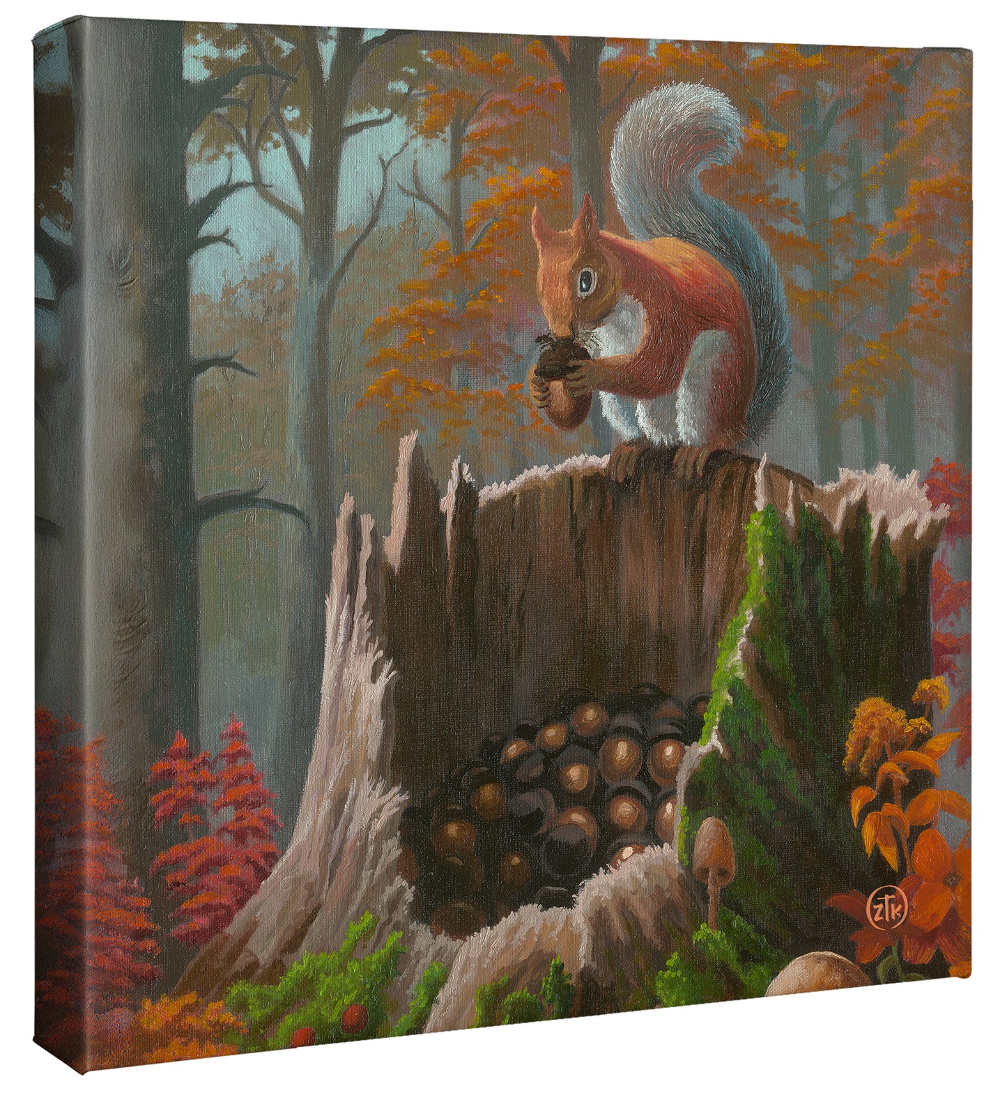 Acorn Aficionado - 14" x 14" Gallery Wrapped Canvas