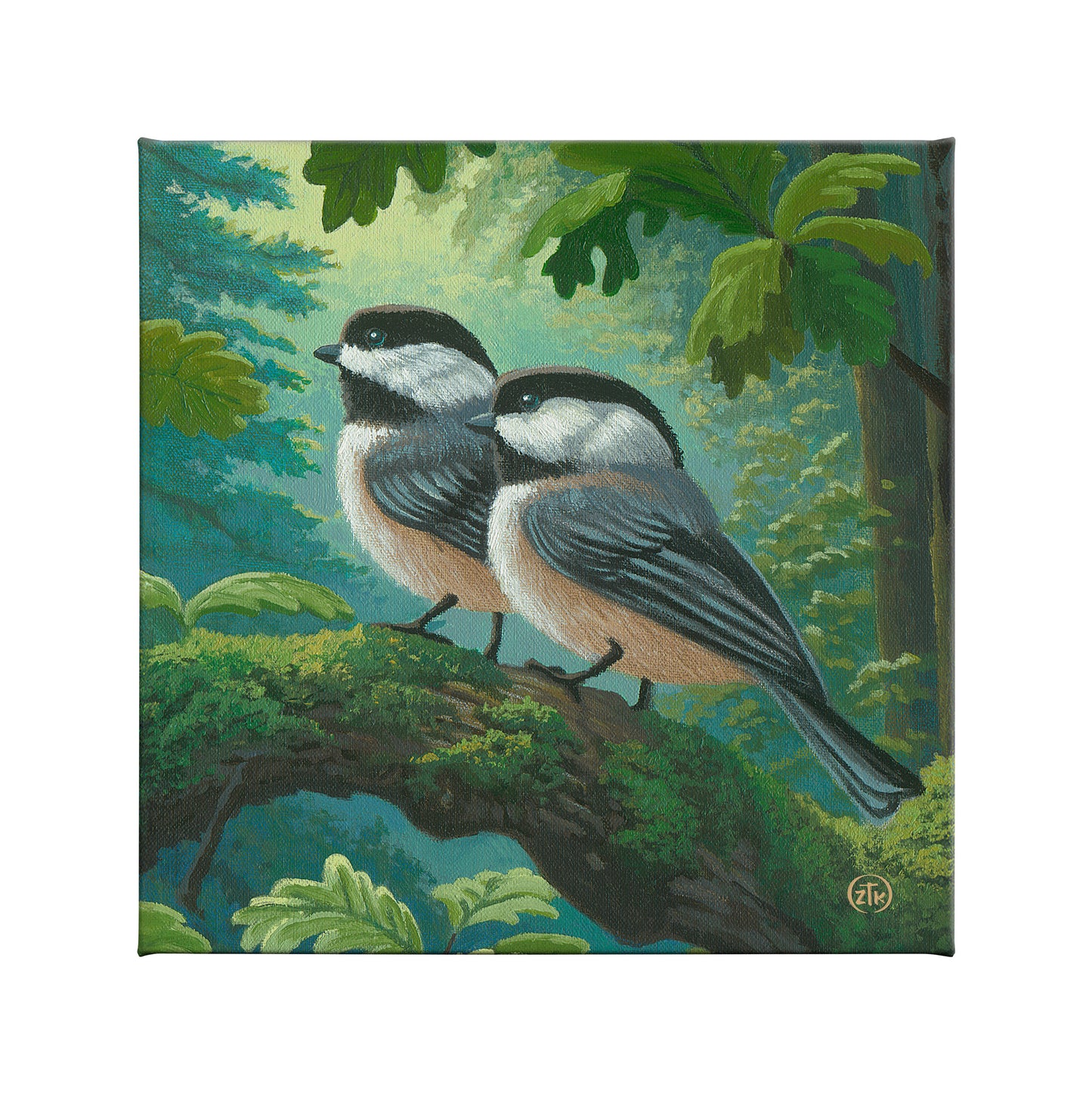 Chickadees in Spring - 14" x 14" Gallery Wrapped Canvas