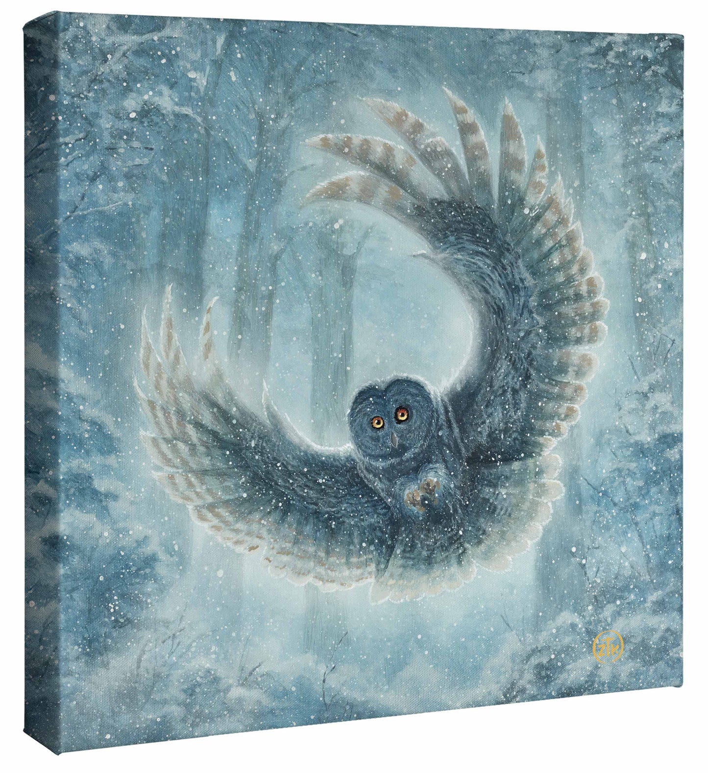 Snowy Owl - 14" x 14" Gallery Wrapped Canvas