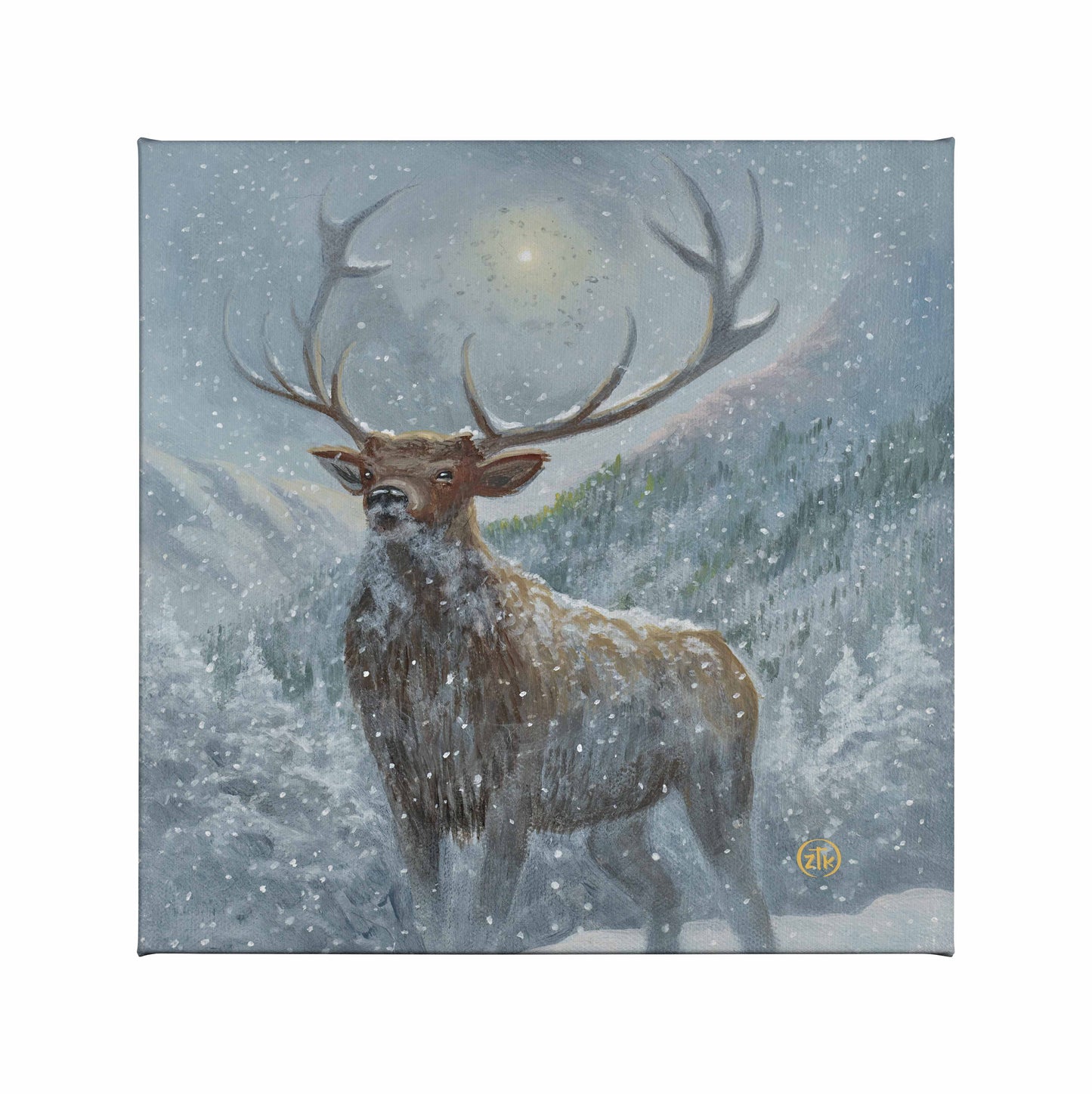 Spirit of the North - 14" x 14" Gallery Wrapped Canvas