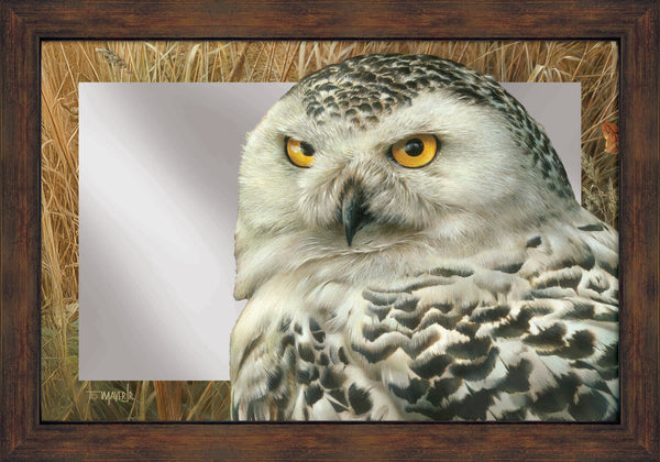 Optical Surveillance - 16" x 24" Mirror Framed Barnwood
