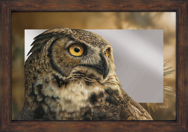 The Great Visionary - 16" x 24" Mirror Framed Barnwood