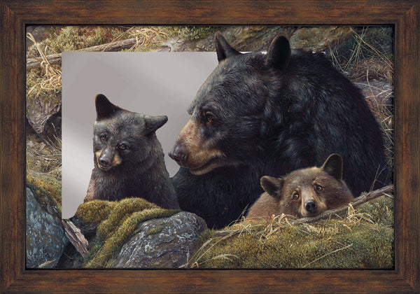 Twice the Love - 16" x 24" Mirror Framed Barnwood