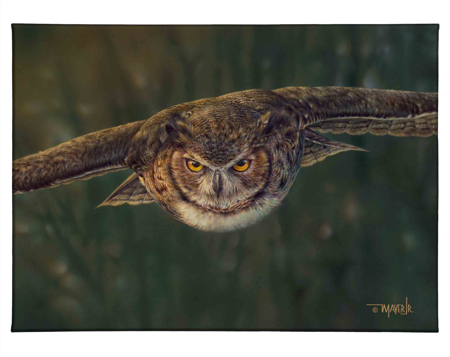 Aerial Intensity - 13" x 18" Gallery Wrapped Canvas