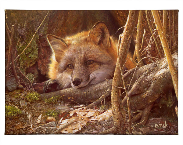 A Touch of Warmth - 13" x 18" Gallery Wrapped Canvas