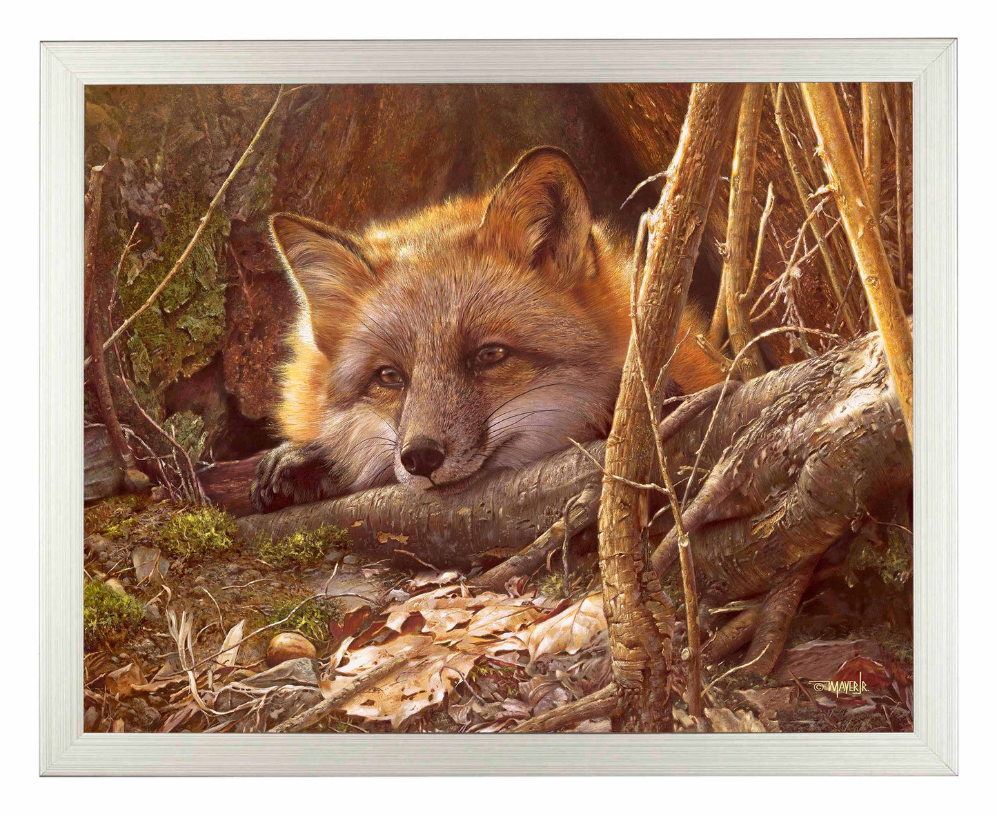 A Touch of Warmth - Art Prints