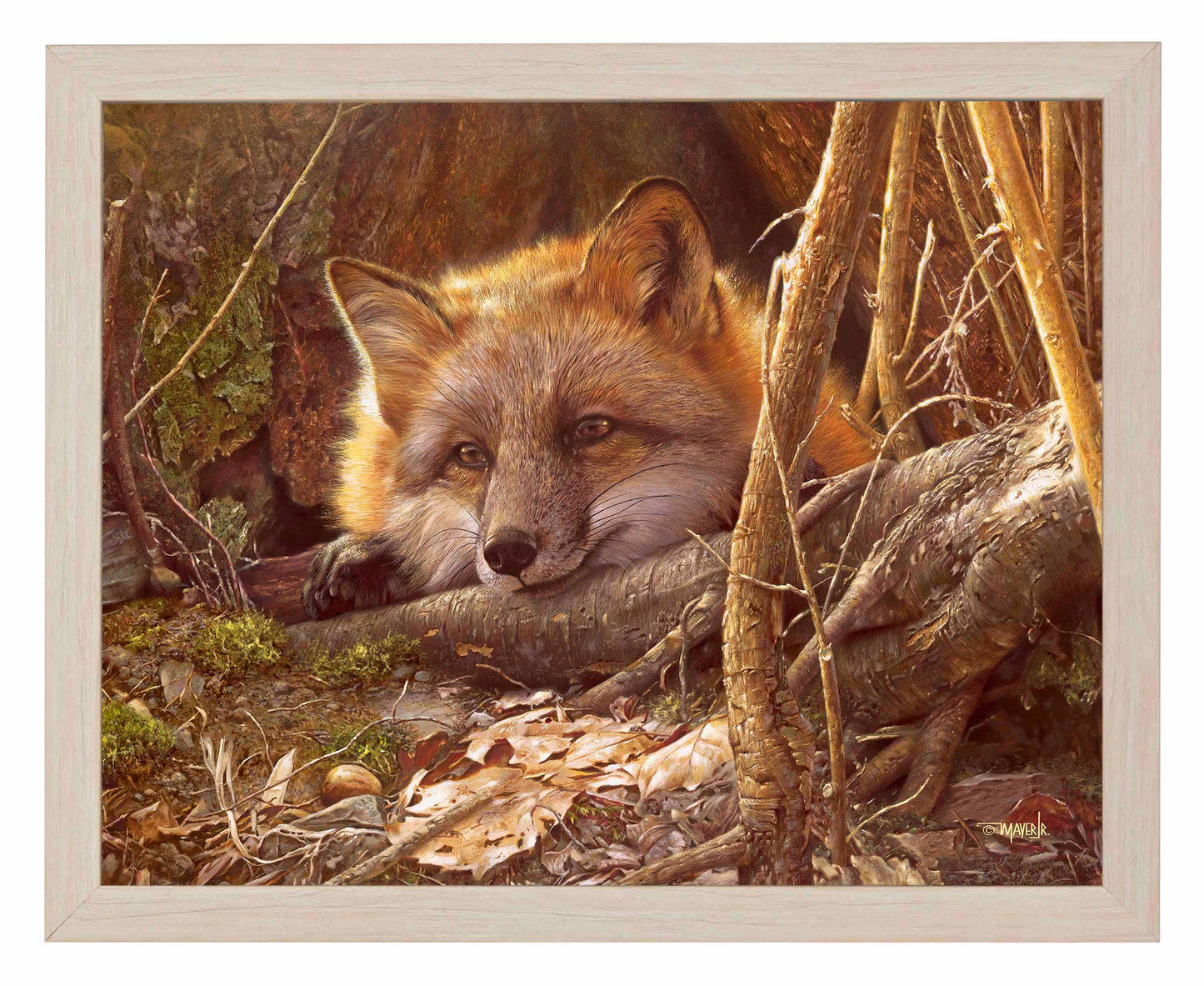 A Touch of Warmth - Art Prints