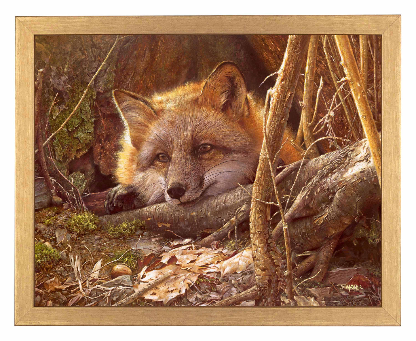 A Touch of Warmth - Art Prints