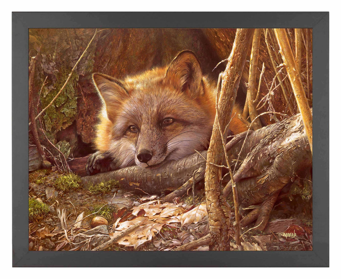 A Touch of Warmth - Art Prints