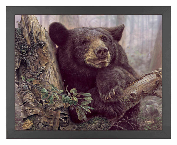 Home Sweet Home - Art Prints