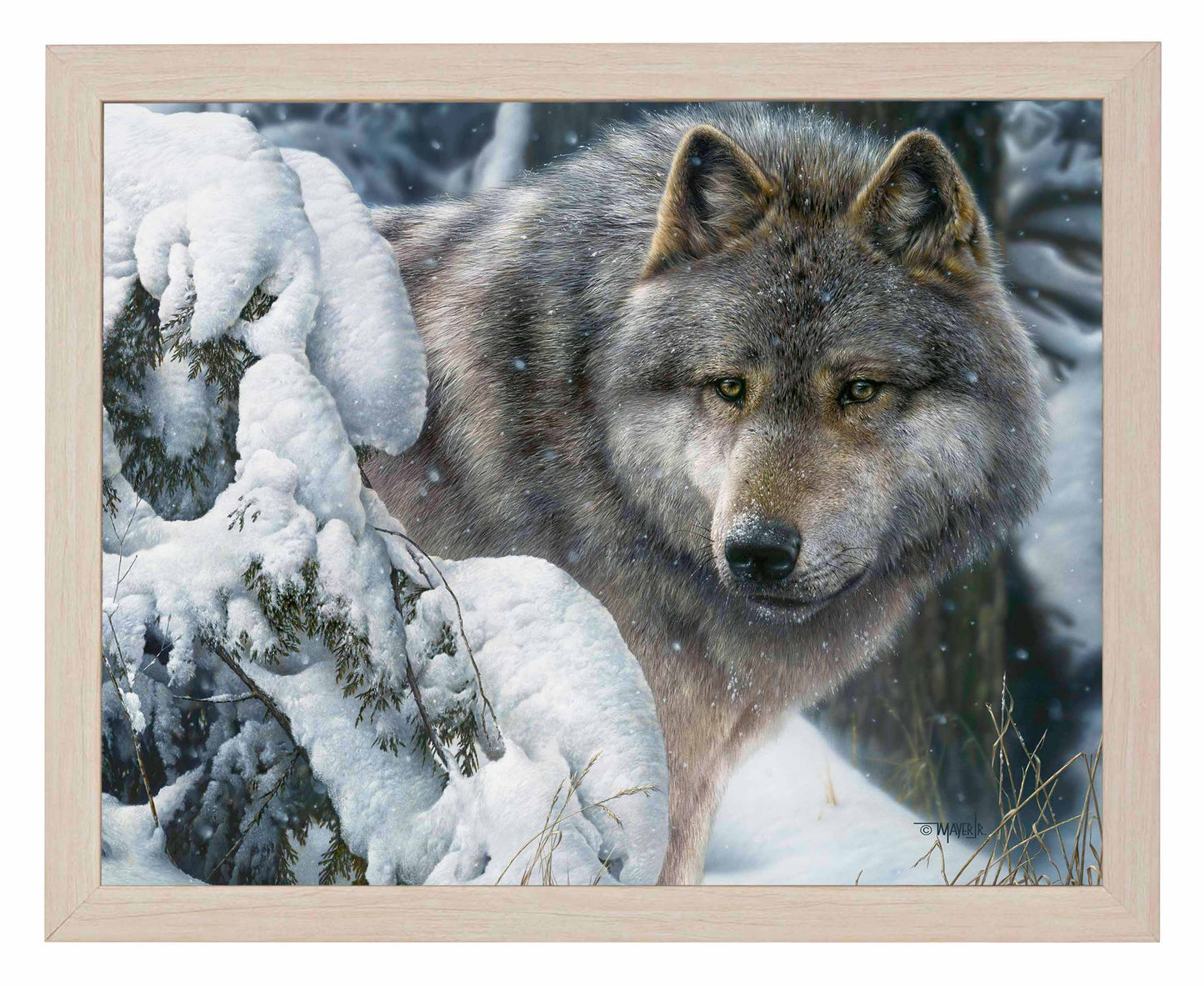 Master of the North - Art Prints