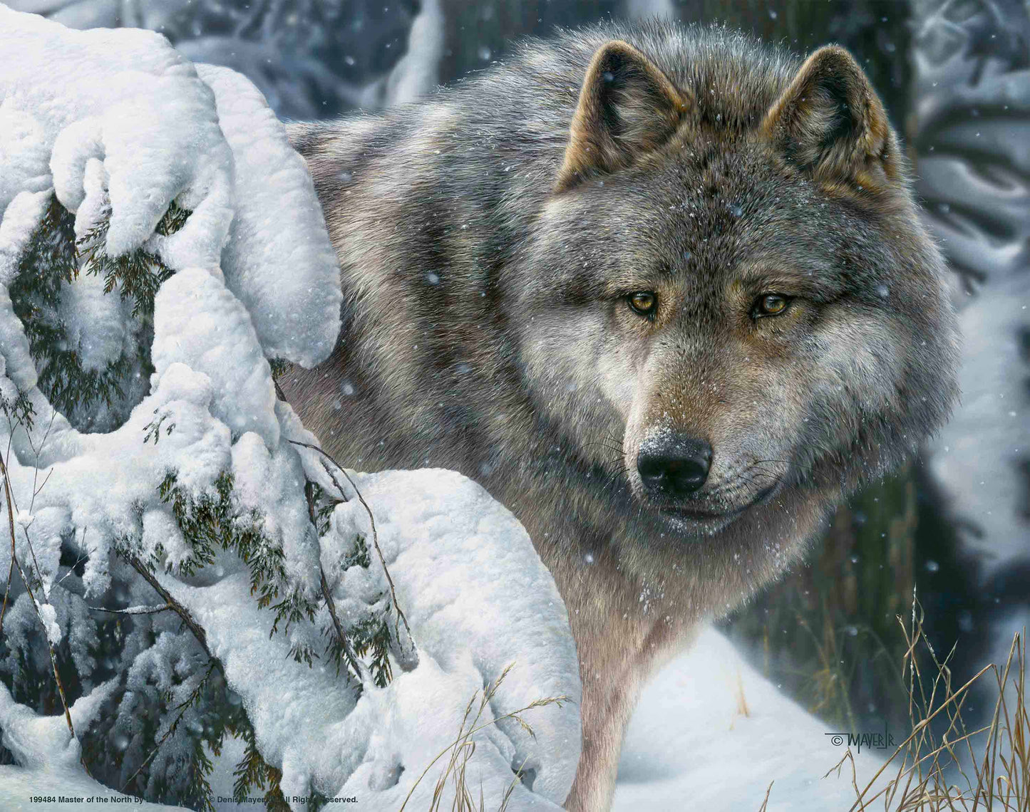 Master of the North - Art Prints