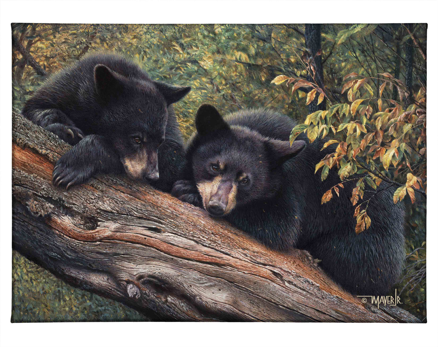 Mom’s Awaiting - 13" x 18" Gallery Wrapped Canvas