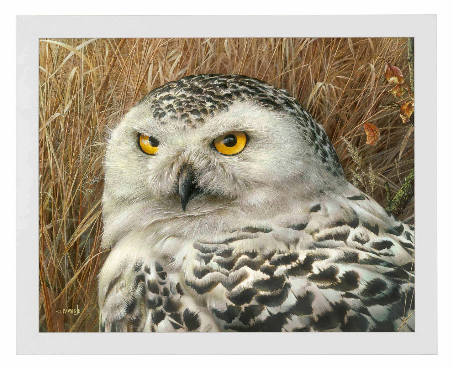 Optical Surveillance - Art Prints