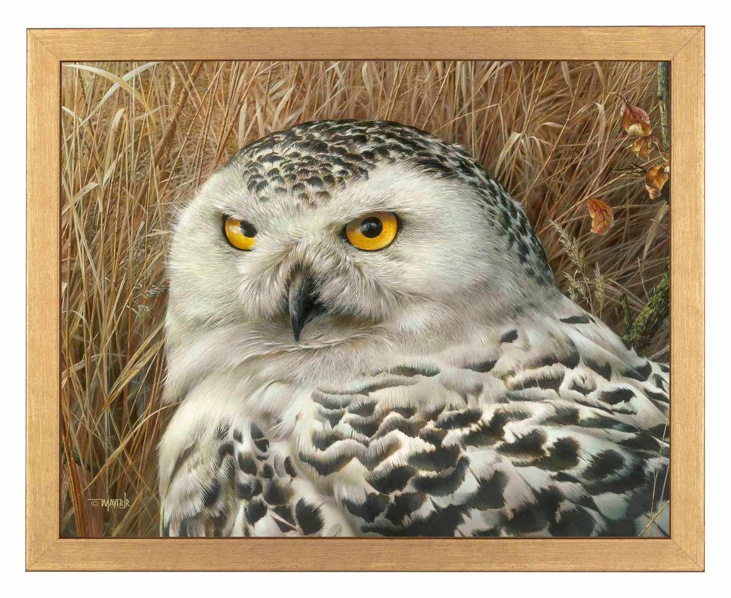 Optical Surveillance - Art Prints