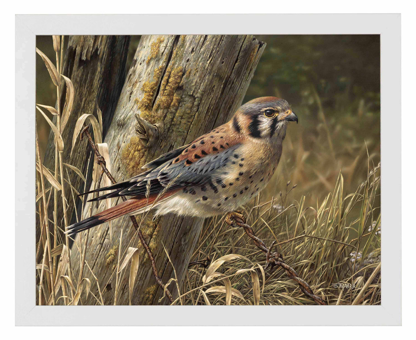 Patience is Rewarding - Art Prints