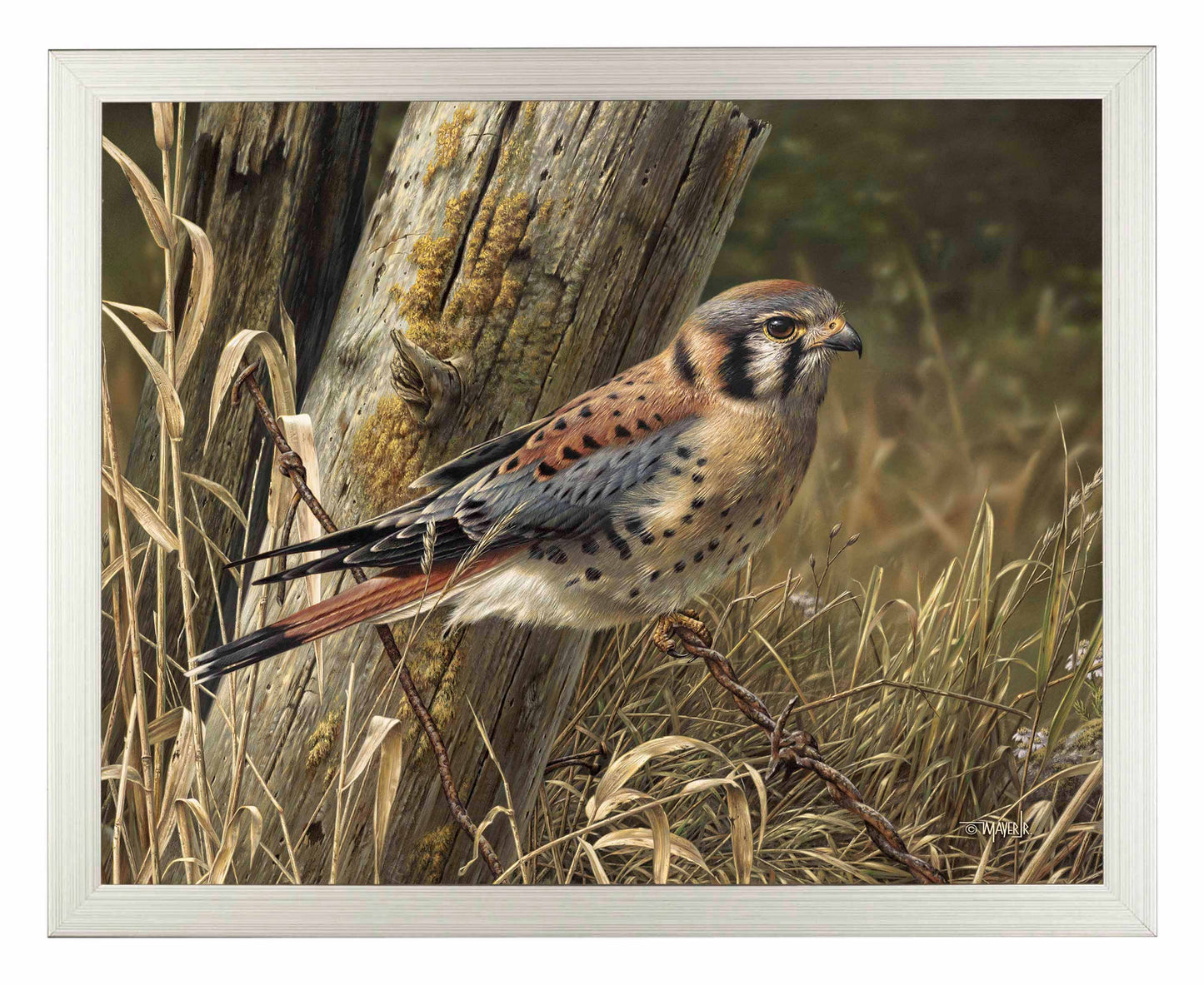 Patience is Rewarding - Art Prints