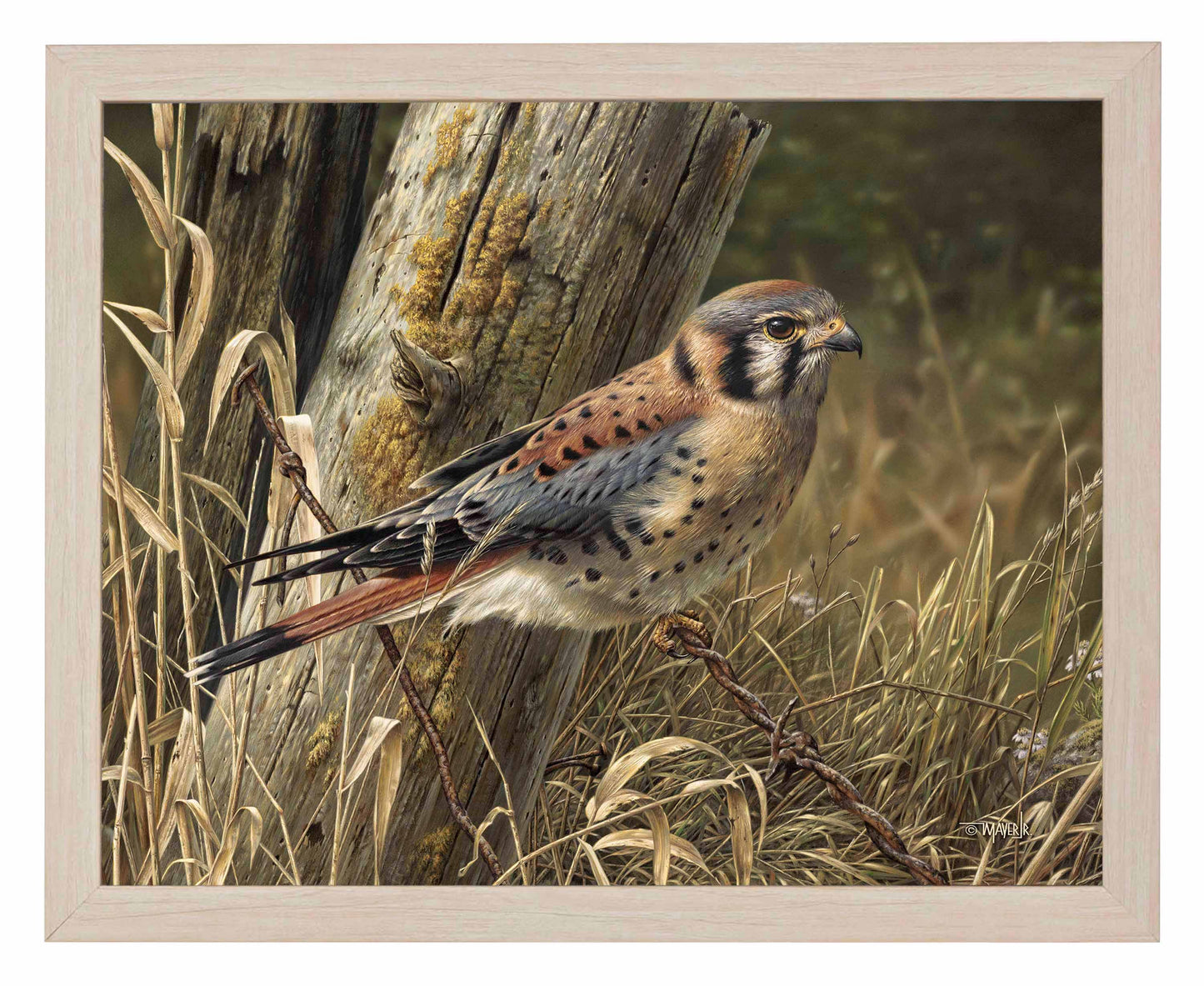 Patience is Rewarding - Art Prints