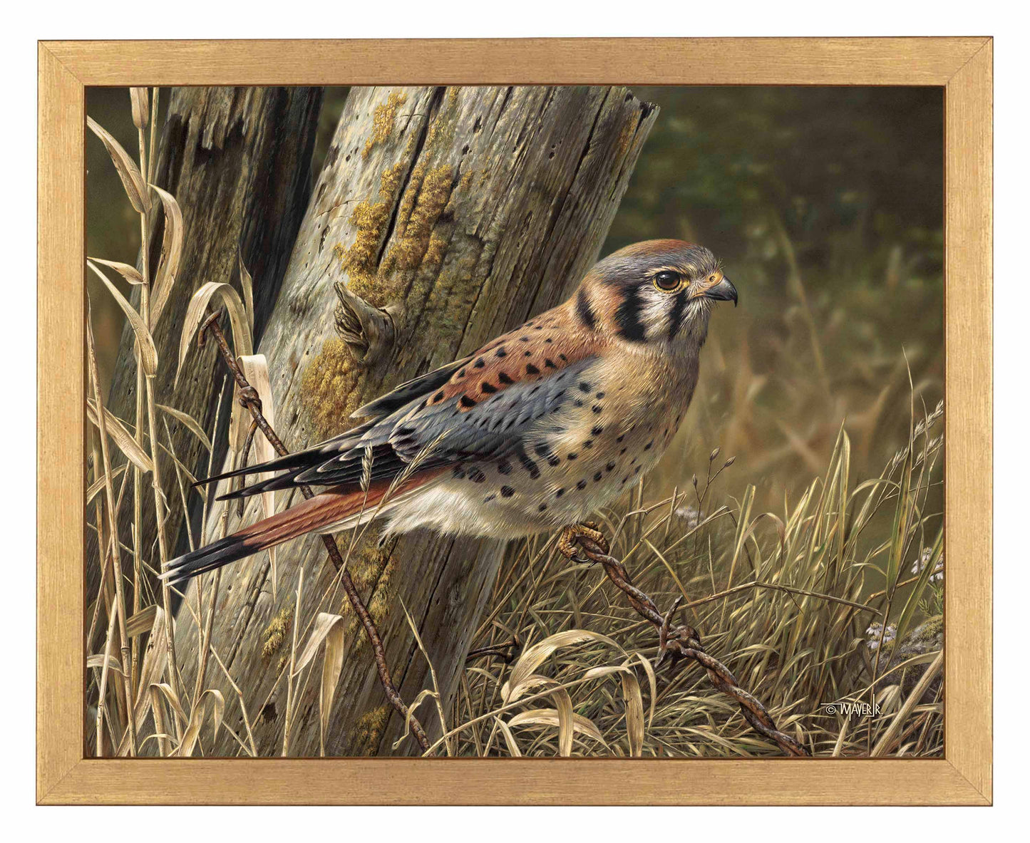 Patience is Rewarding - Art Prints