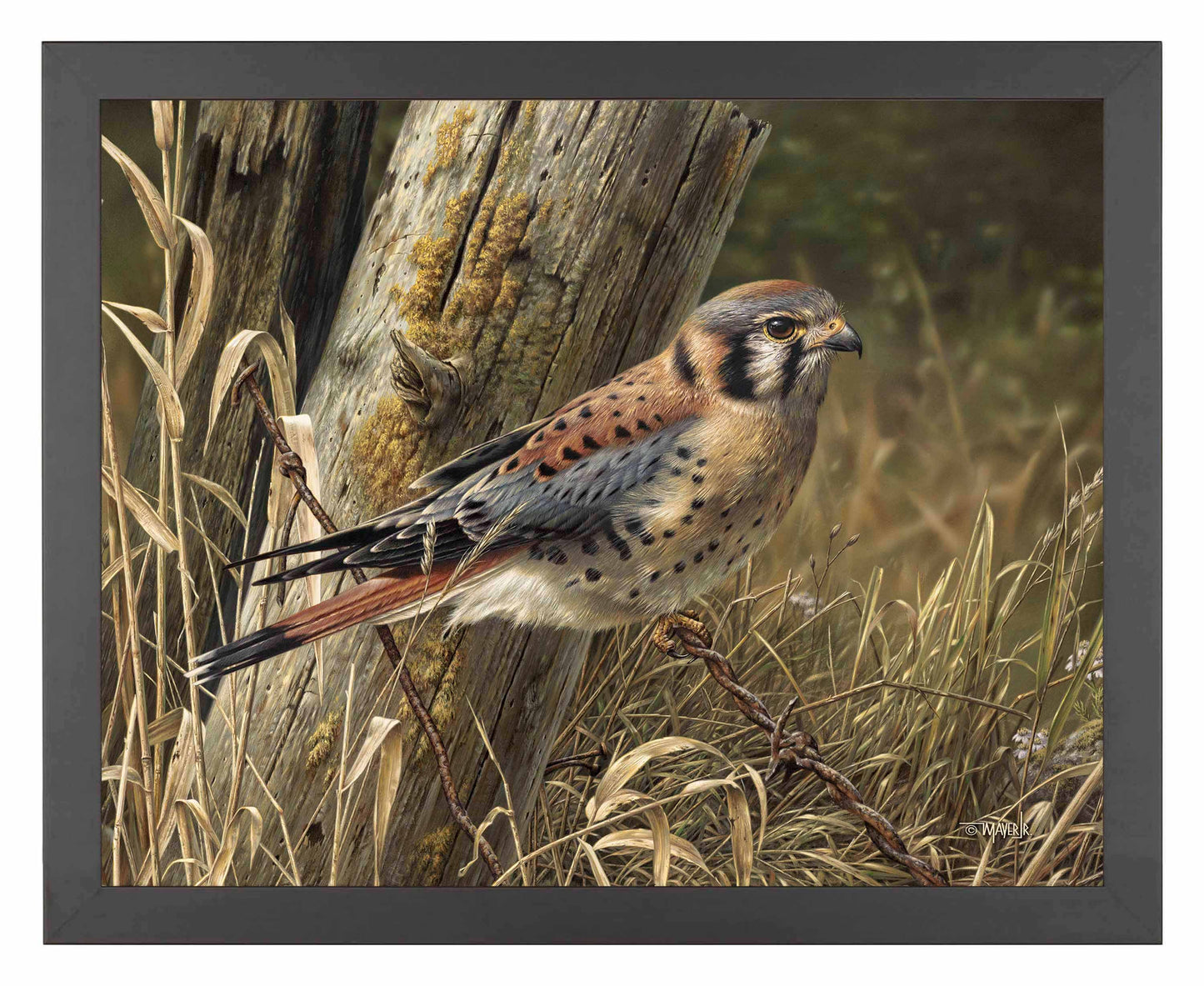 Patience is Rewarding - Art Prints