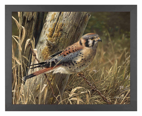 Patience is Rewarding - Art Prints