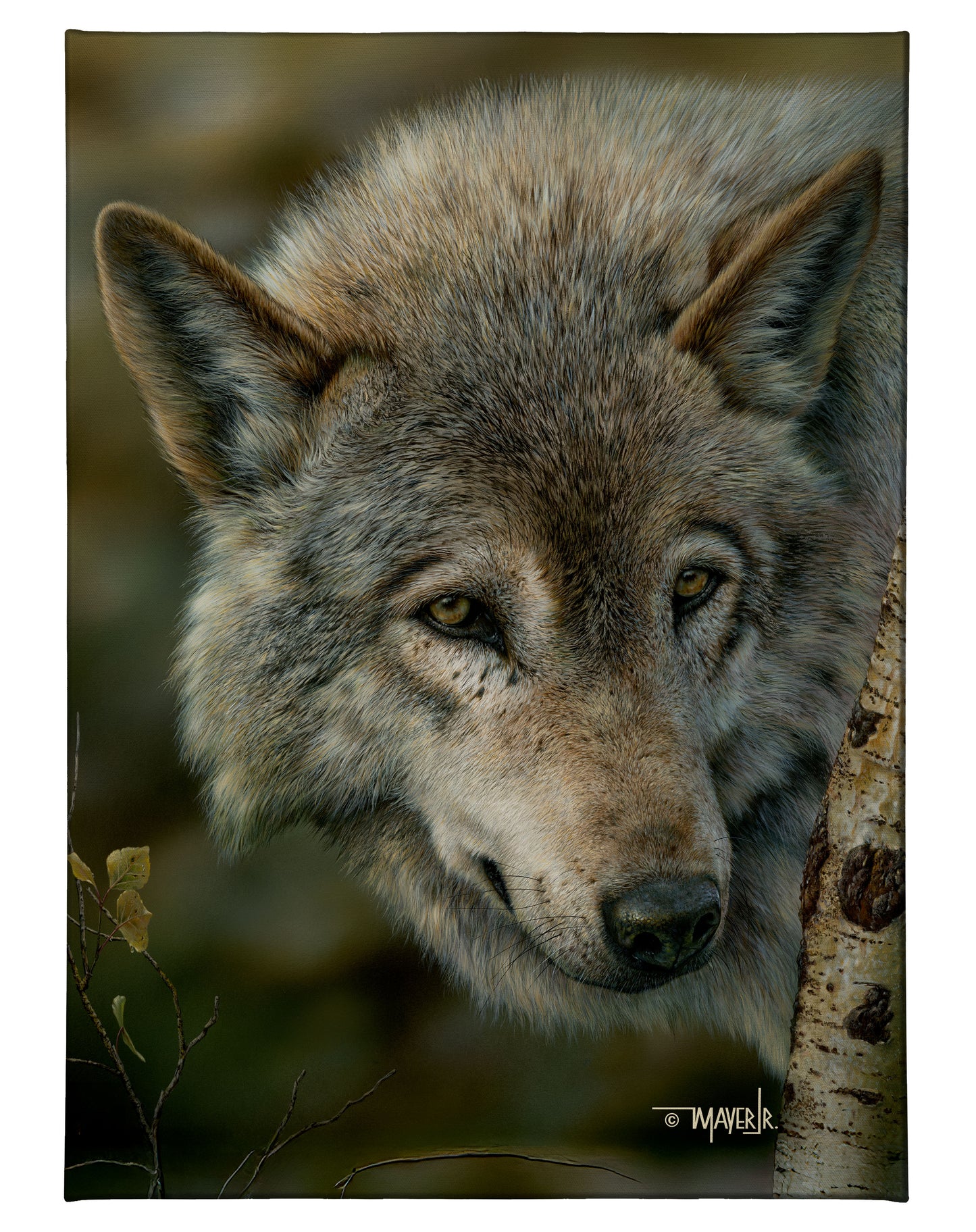 Silver and Gold - 13" x 18" Gallery Wrapped Canvas