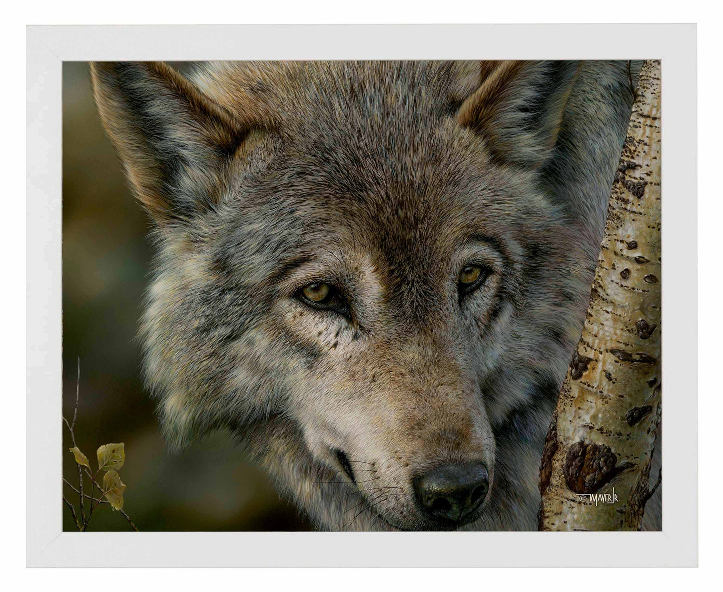 Silver and Gold - Art Prints