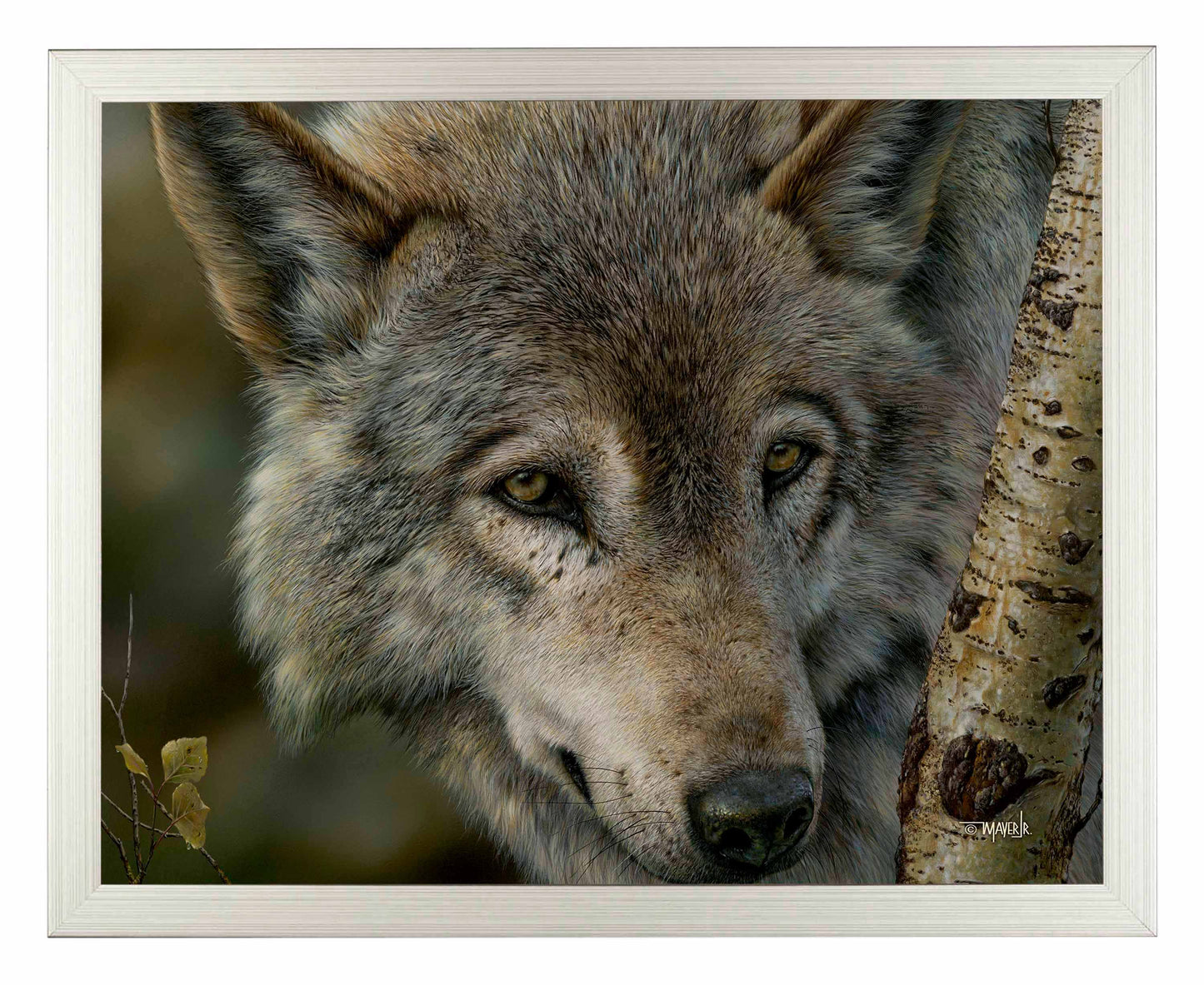 Silver and Gold - Art Prints