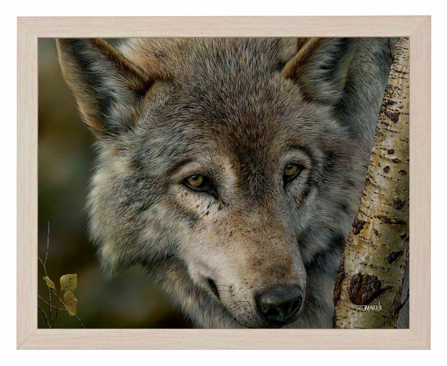 Silver and Gold - Art Prints